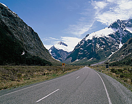 道路,通过,风景,南岛,新西兰