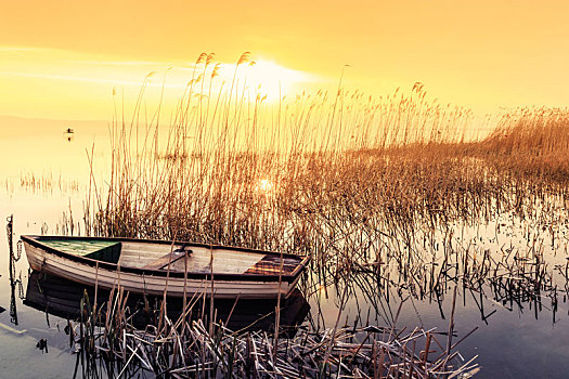 日落,巴拉顿湖,船