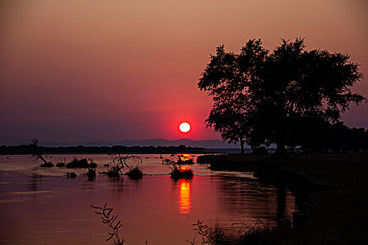 日落,上方,赞比西河,马纳池国家公园,津巴布韦,非洲