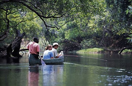 赞比亚,国家公园,独木舟,河,围绕,树林,观鸟,钓鱼