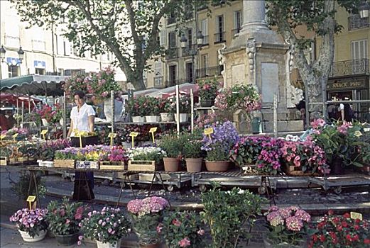 花市,地点,普罗旺斯地区艾克斯