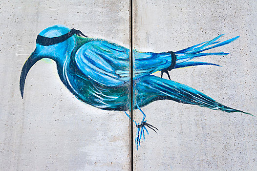 涂鸦,分隔,墙壁,巴勒斯坦,西亚