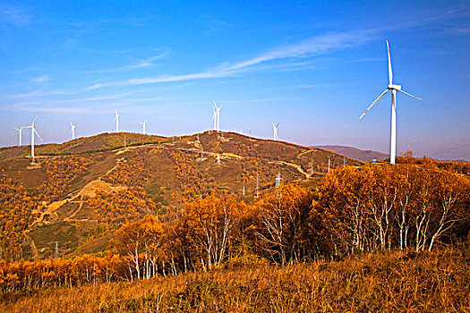 秋天中国山峰地带高大成片的风力发电车