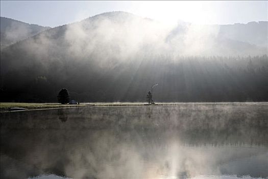 晨雾,上方,浴,湖,露营,区域,靠近,山,施蒂里亚,奥地利