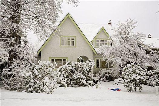 房子,冬天,灰色,温哥华,不列颠哥伦比亚省,加拿大