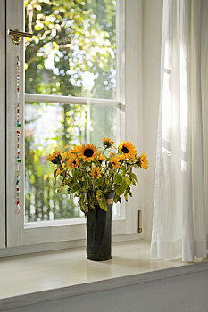 束,向日葵,窗台
