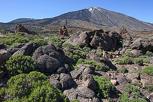 火山地貌,植被,后面,泰德峰,泰德国家公园,世界遗产,特内里费岛,西班牙,欧洲