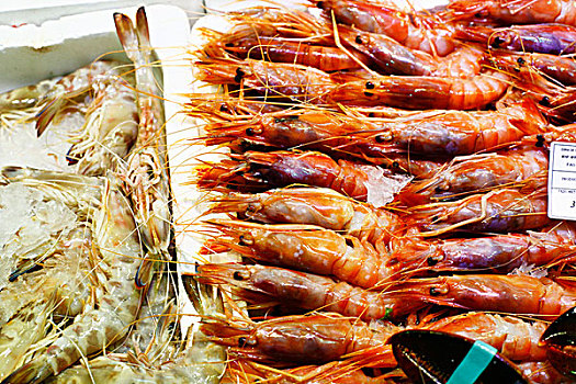 海螯虾,玫瑰,虾,冰,市场,西班牙