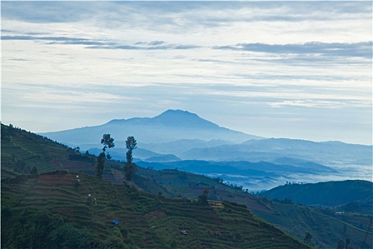 日出,山,风景