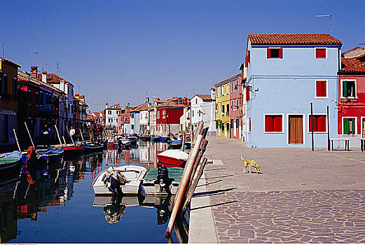 房子,运河,布拉诺岛,意大利