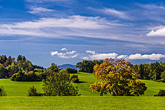 德国,巴伐利亚,上巴伐利亚,秋天风景