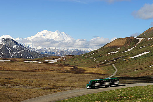 长途巴士,德纳利国家公园和自然保护区,麦金立山,背影,德纳里峰国家公园,阿拉斯加,美国,北美