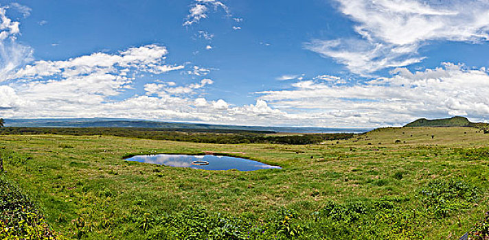 风景,纳库鲁湖国家公园,肯尼亚,东非,非洲