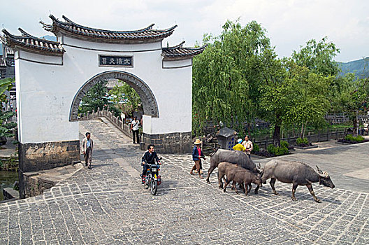 村民,水,水牛,家,下班后,收获时节,云南,五月,2009年