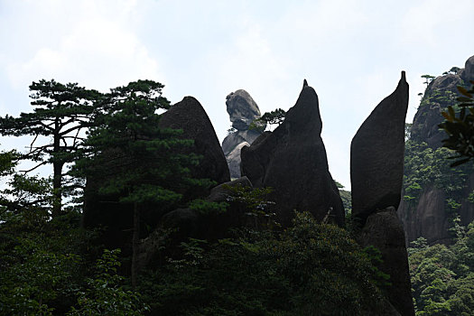 江西三清山,企鹅献桃