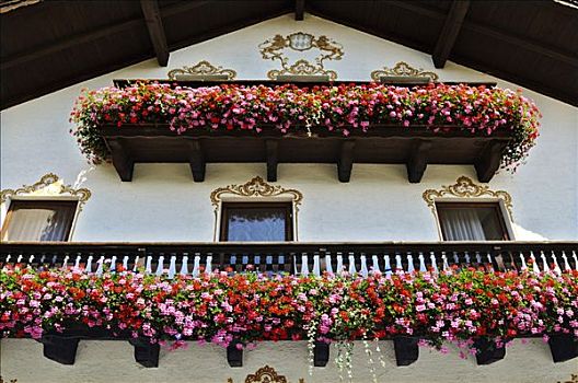 传统,房子,露台,装饰,大量,天竺葵,巴伐利亚,德国,欧洲