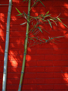 红墙绿竹