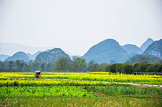 田园春色