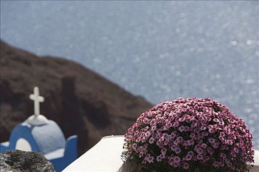 插花,锡拉岛,基克拉迪群岛,爱琴海,希腊