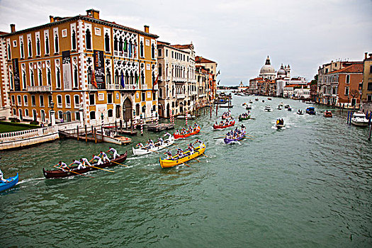 欧洲,意大利,威尼斯,历史,赛船,大运河