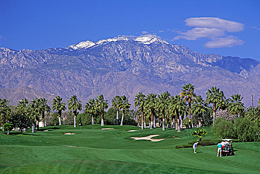 高尔夫球场,荒芜,胜地,棕榈树,加利福尼亚,美国