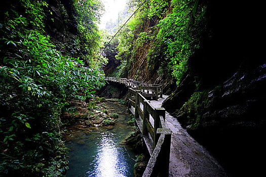 武隆龙水峡地缝