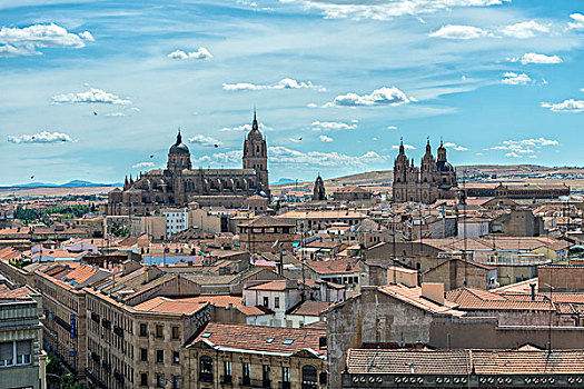 西班牙,萨拉曼卡,城市,航拍,大幅,尺寸