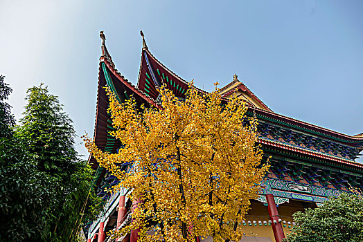 长沙古开福寺