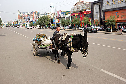 毛驴车