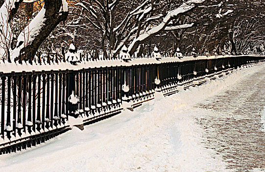 围绕,波士顿公共公园,暴风雪