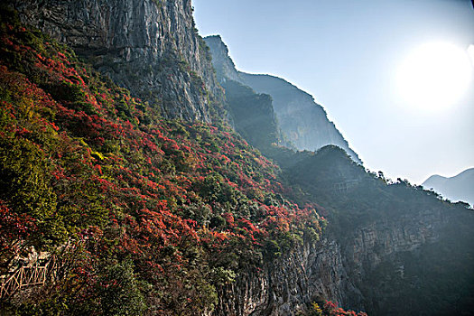 长江三峡巫峡峡谷巫山红叶