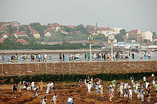 青岛,栈桥,海岸