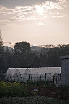 田园景观