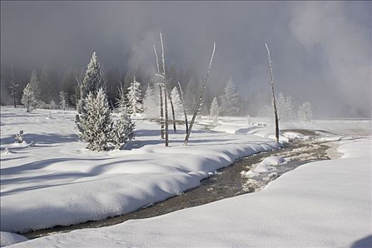 冬季风景,国家公园,美国