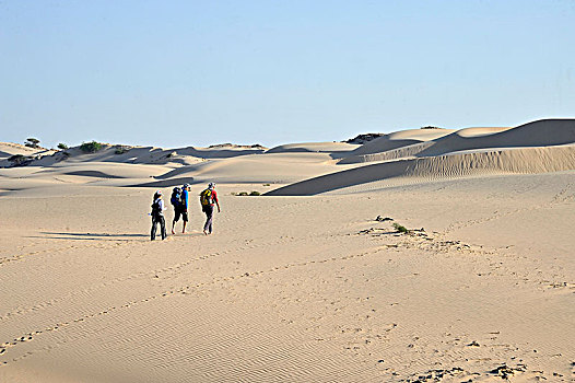阿曼苏丹国,荒芜,旅游,走,赤脚,中间,赭色,沙漠