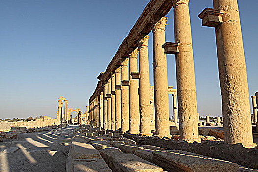 叙利亚帕尔米拉古遗址-古街道全景
