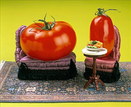 脂肪,两个,西红柿,软垫,椅子