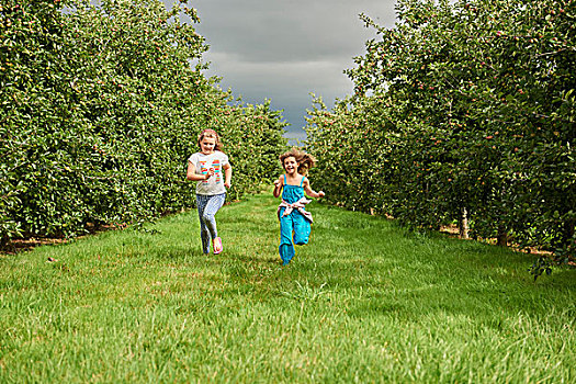 女孩,跑,苹果园