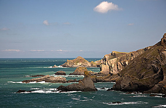 悬崖,海岸,大西洋,海洋,德文郡,英格兰
