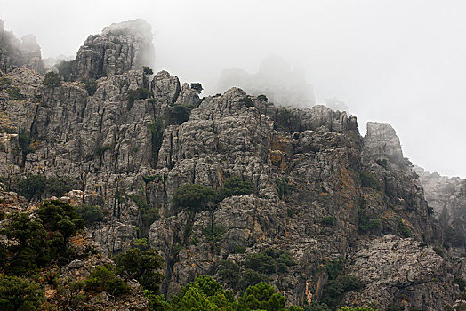 石头,山丘,雾,格拉萨莱玛,自然公园,公园,省,安达卢西亚,西班牙,欧洲