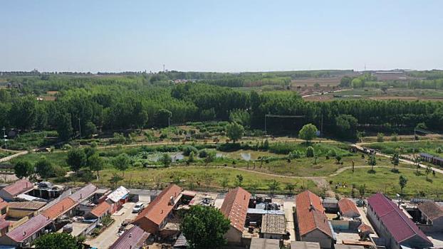 驾驶式扫地机
