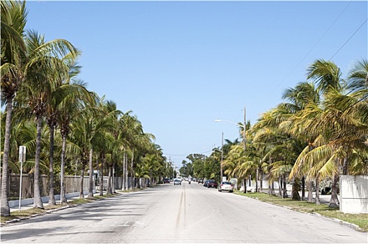 街道,西礁岛,佛罗里达,美国
