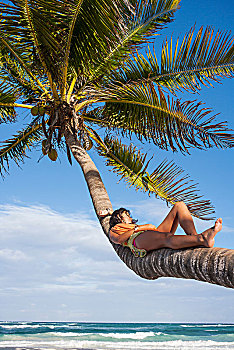 美女,日光浴,棕榈树,树干,海滩,墨西哥
