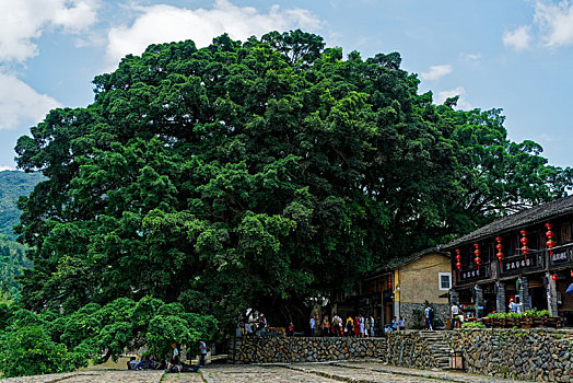 福建,漳州,古镇,风光