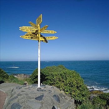 斯特灵,指示,路标,悬崖,南岛,新西兰
