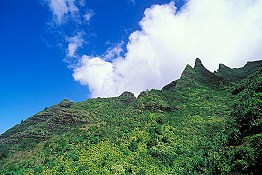 茂密,热带,峡谷,尖顶,小路,北岸,纳帕利海岸,考艾岛,夏威夷