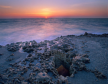 海岸,日落,吹,石头,海滩,岛屿,佛罗里达