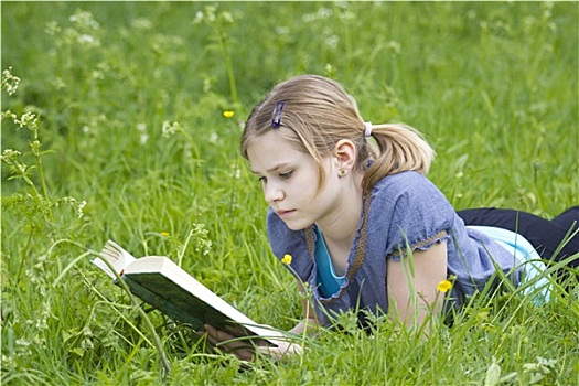 小女孩,读,书本,户外