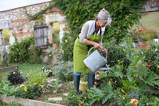 老年,女人,浇水,菜园