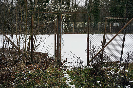 围栏,网球场,敞门,冬天,雪